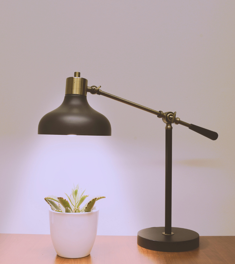 La lampe design du décorateur d'intérieur